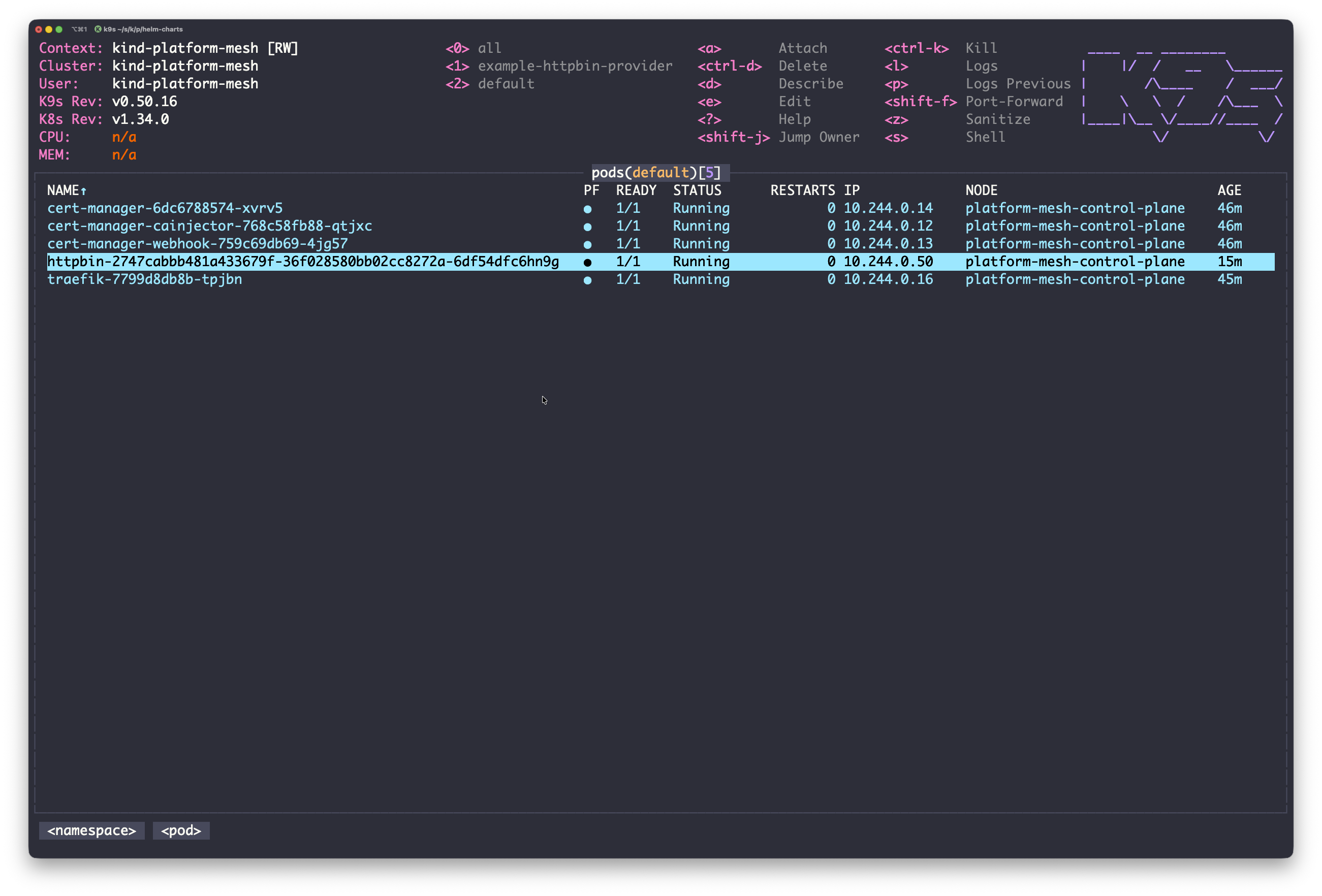 Local HttpBin in Cluster
